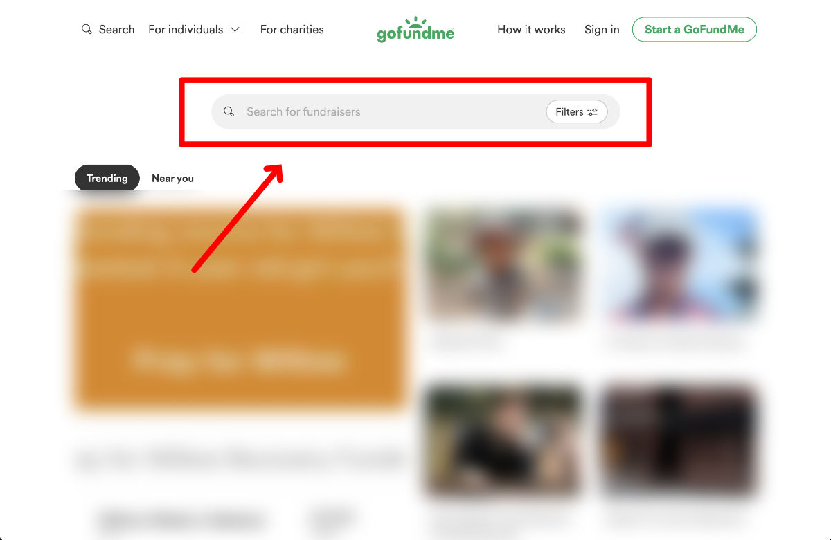 Gofundme search bar